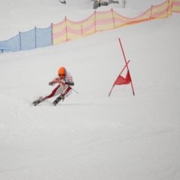 Сахалинские горнолыжники заняли третье место в командном зачете на Всероссийских соревнованиях