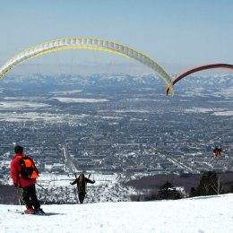 7 февраля в России отмечается День зимних видов спорта 