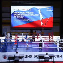 Медали областного турнира разыграли боксеры из трех регионов Сибири и Дальнего Востока