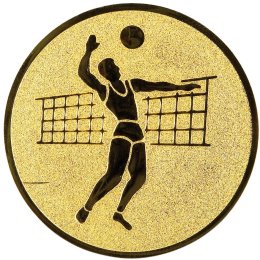 «Фортуна» - победитель волейбольного турнира в Шахтерске