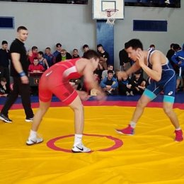 Борцы из Южно-Сахалинска завоевали четыре медали Всероссийского турнира