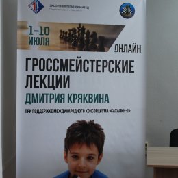 Международный гроссмейстер Дмитрий Кряквин прочитал курс лекций для островных шахматистов