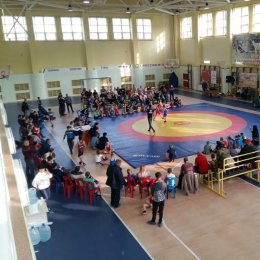 Почти 100 борцов приняли участие в «Кубке мэра» в Невельске