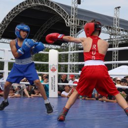 Сахалинцы отметили «День бокса» с именитыми спортсменами