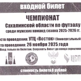 Чемпионат области по футзалу