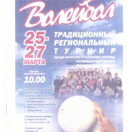 Волейбольный турнир памяти Николая Ельченинова 
