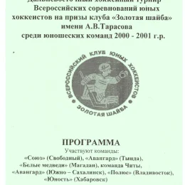 Дальневосточный этап турнира "Золотая шайба" (Свободный) с участием "Авангарда" из Южно-Сахалинска