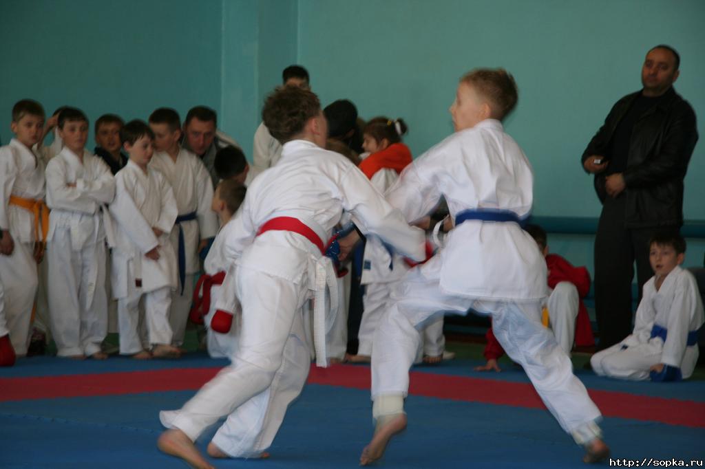 Первенство Невельского района по каратэ-до Сетокан - 2006