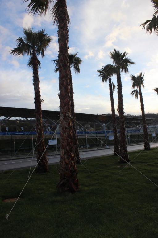 Паралимпиада в Сочи