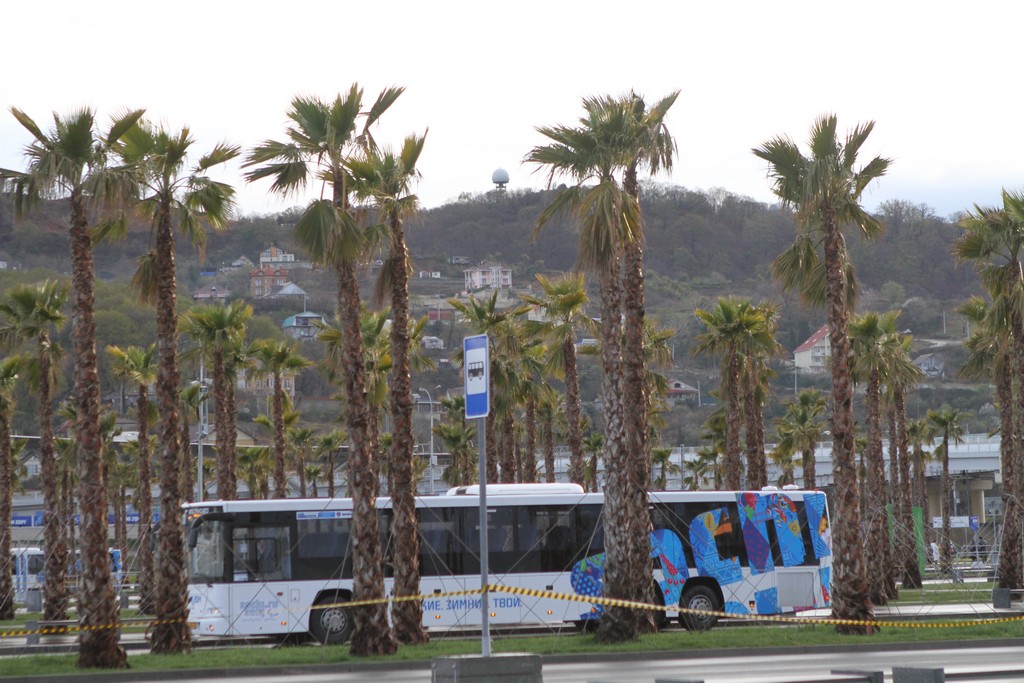 Паралимпиада в Сочи