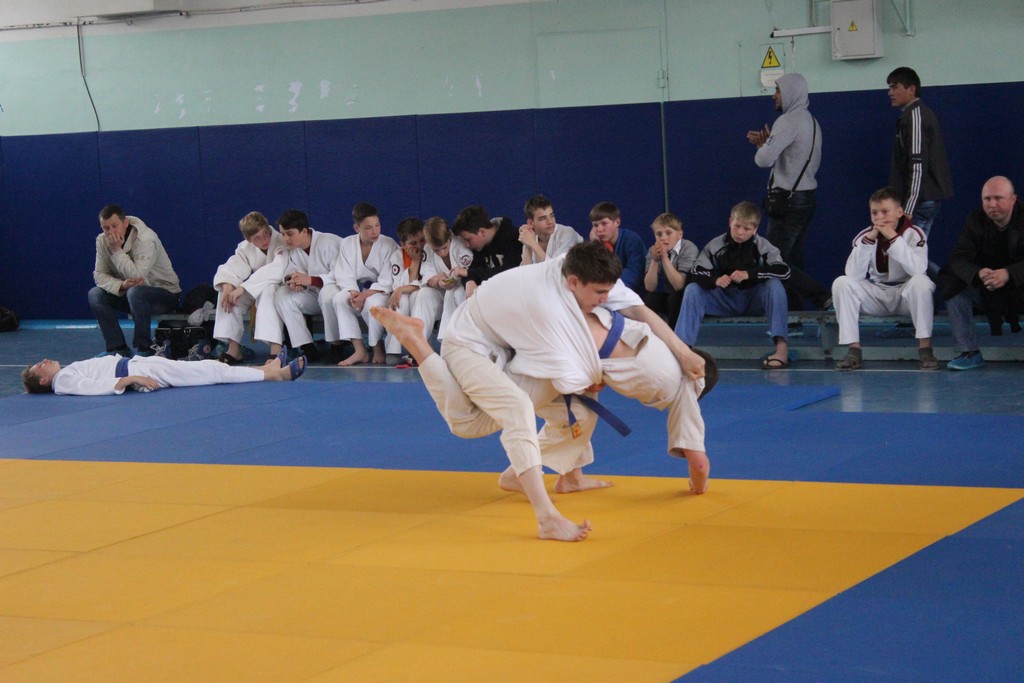 Кубок мэра Южно-Сахалинска 2014 года по дзюдо