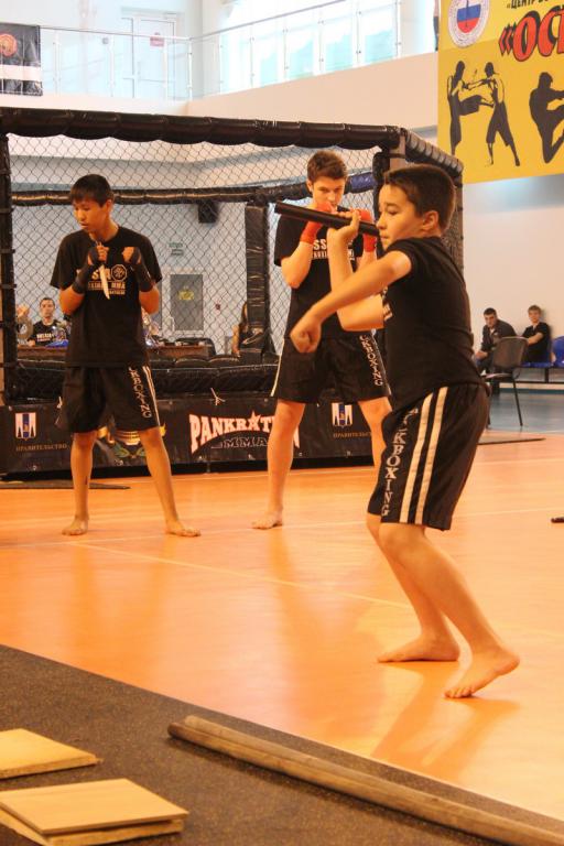 Фестиваль боевых искусств