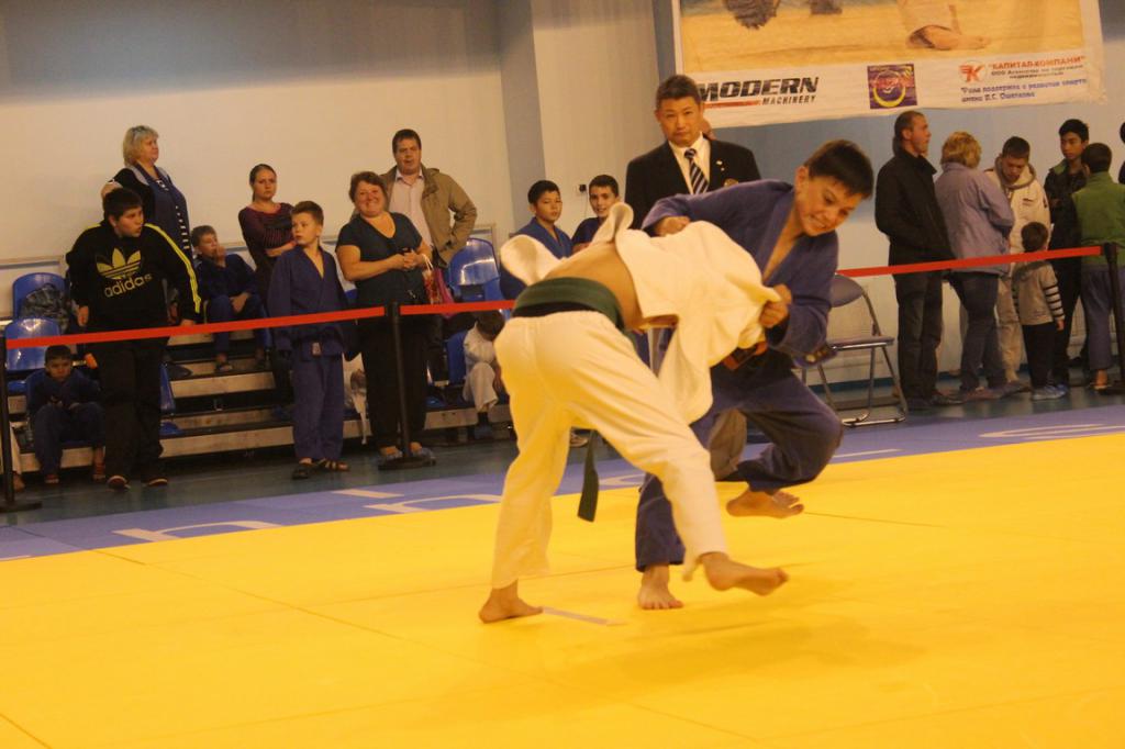 Международный юношеский турнир по дзюдо_2015