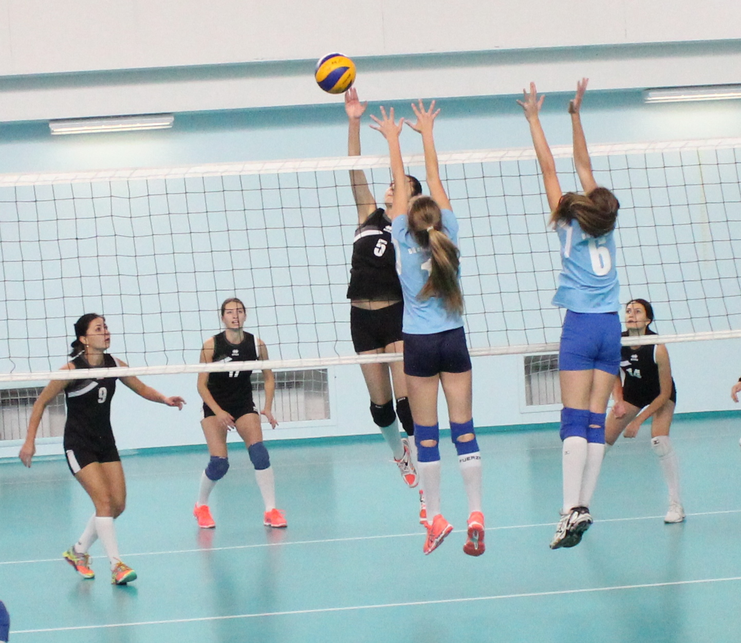 Чемпионат области среди женских команд