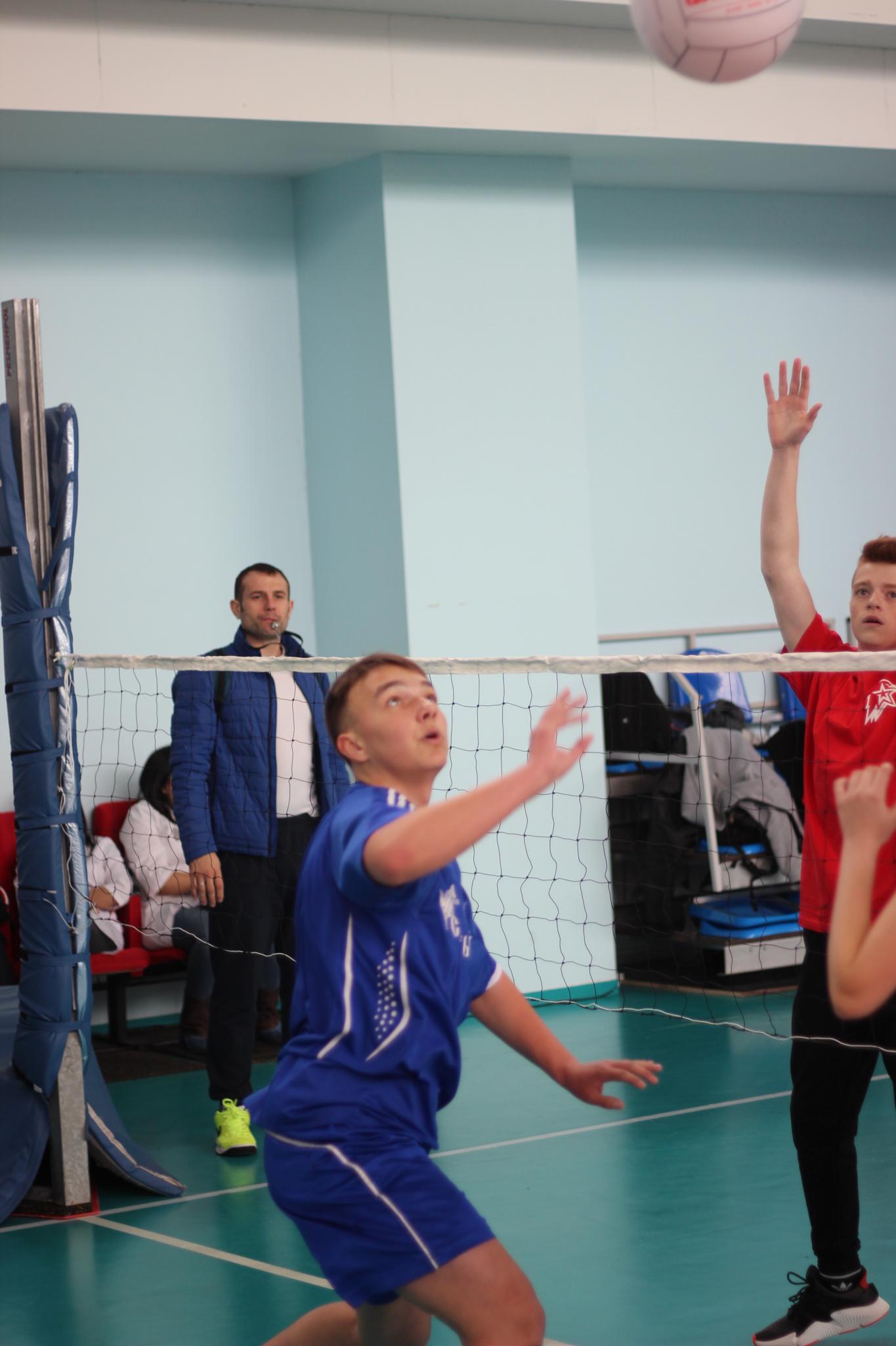 Первенство области по мини-волейболу