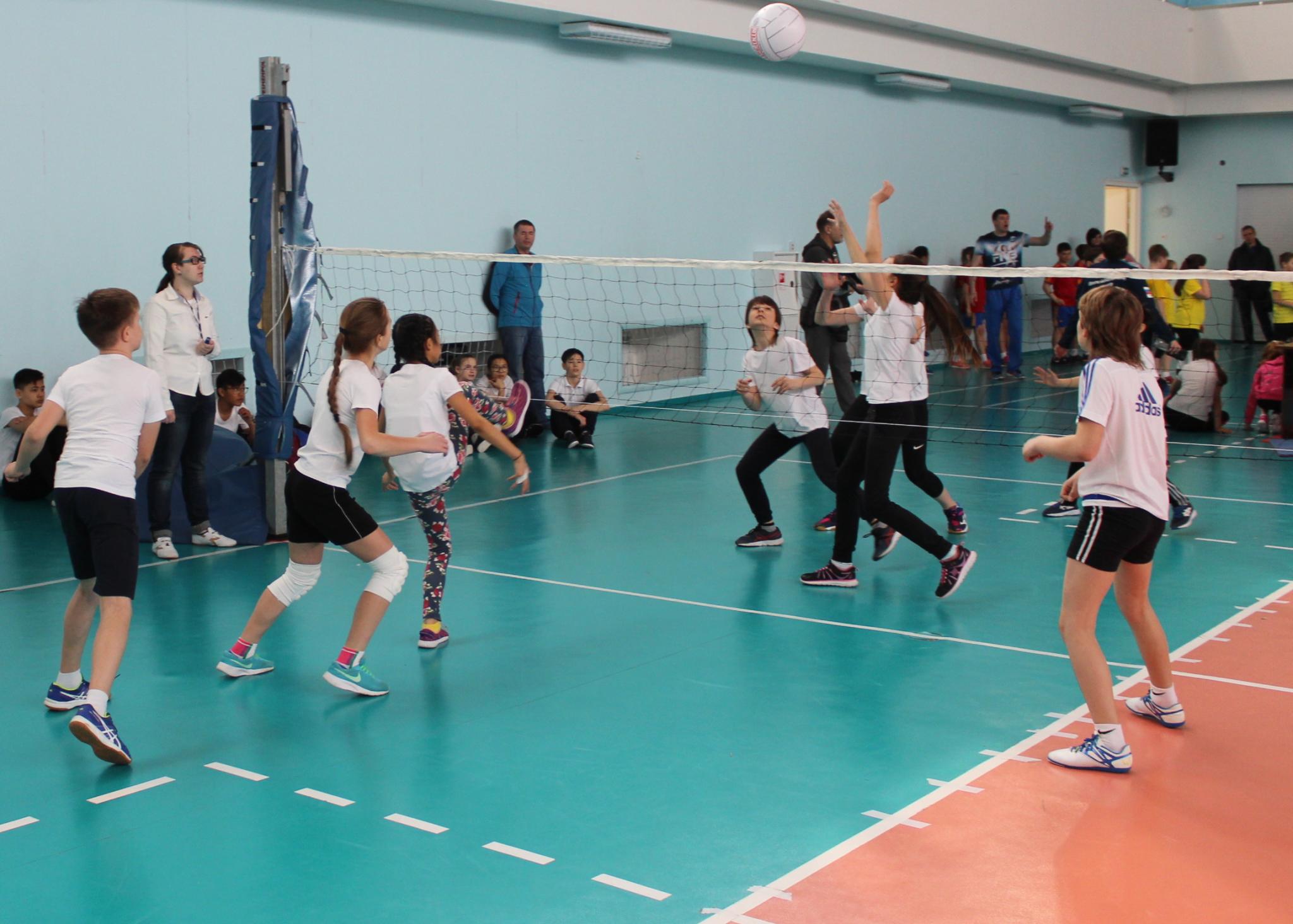 Первенство области по мини-волейболу