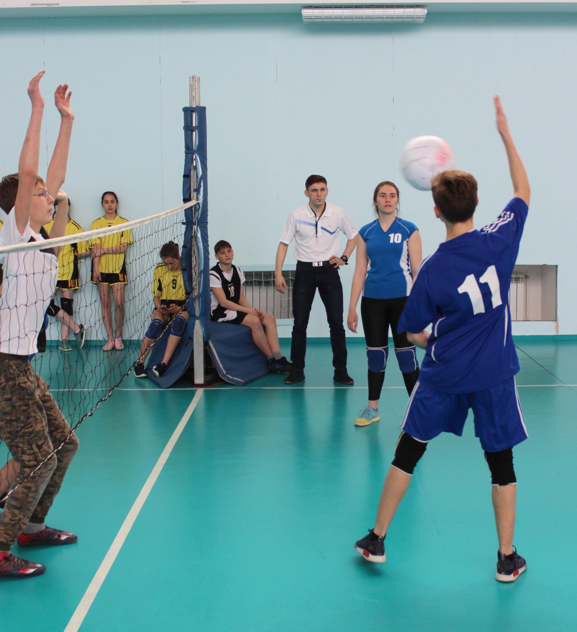 Первенство области по мини-волейболу