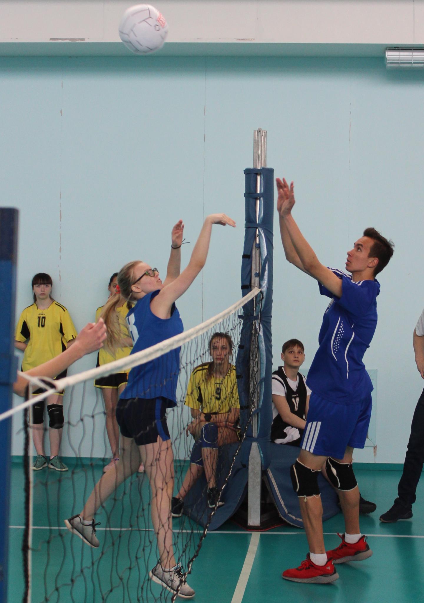 Первенство области по мини-волейболу