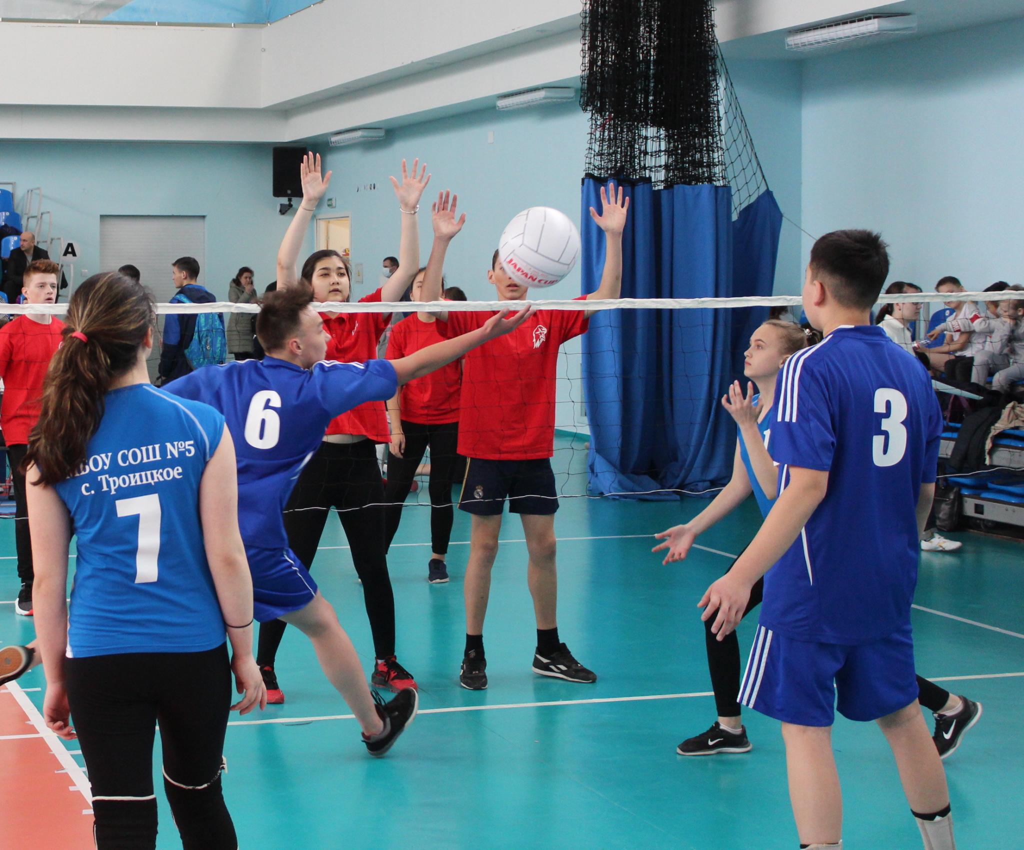 Первенство области по мини-волейболу