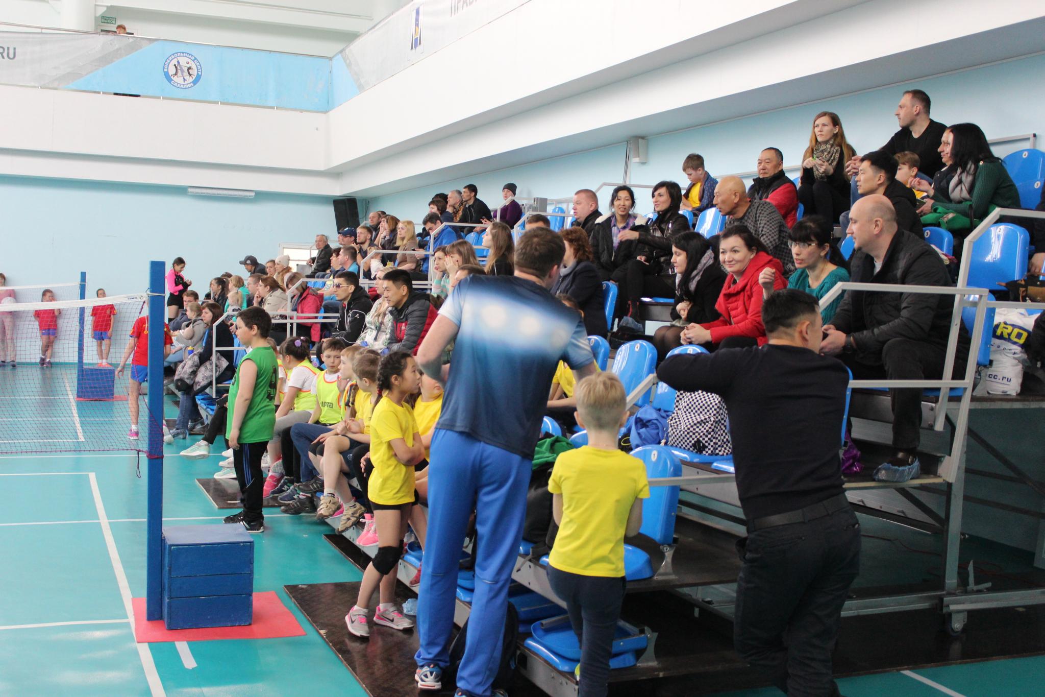 Первенство области по мини-волейболу