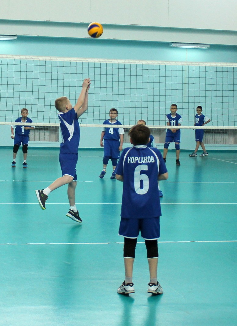 Первенство области по волейболу среди мальчиков и девочек 2006-2007 г.р.