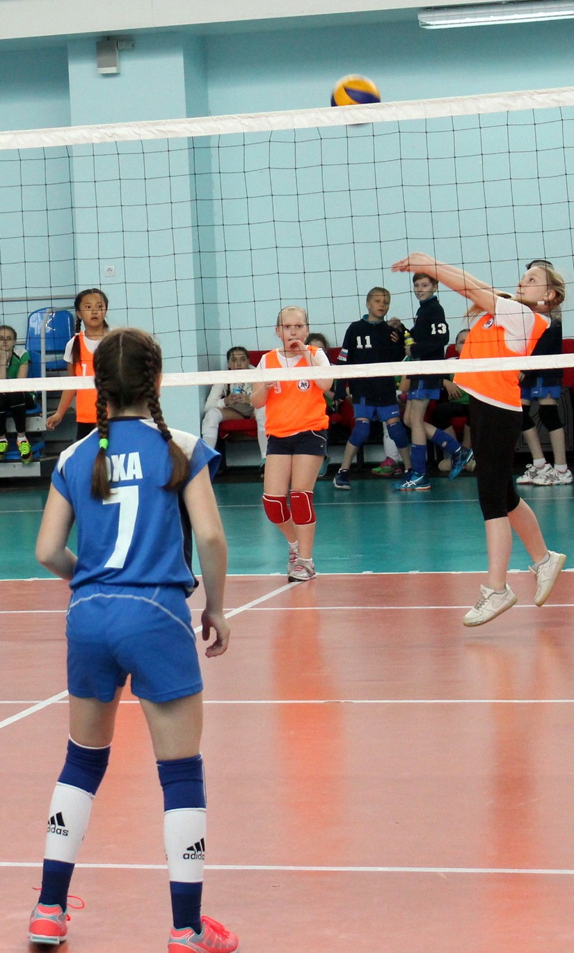 Первенство области по волейболу среди мальчиков и девочек 2006-2007 г.р.