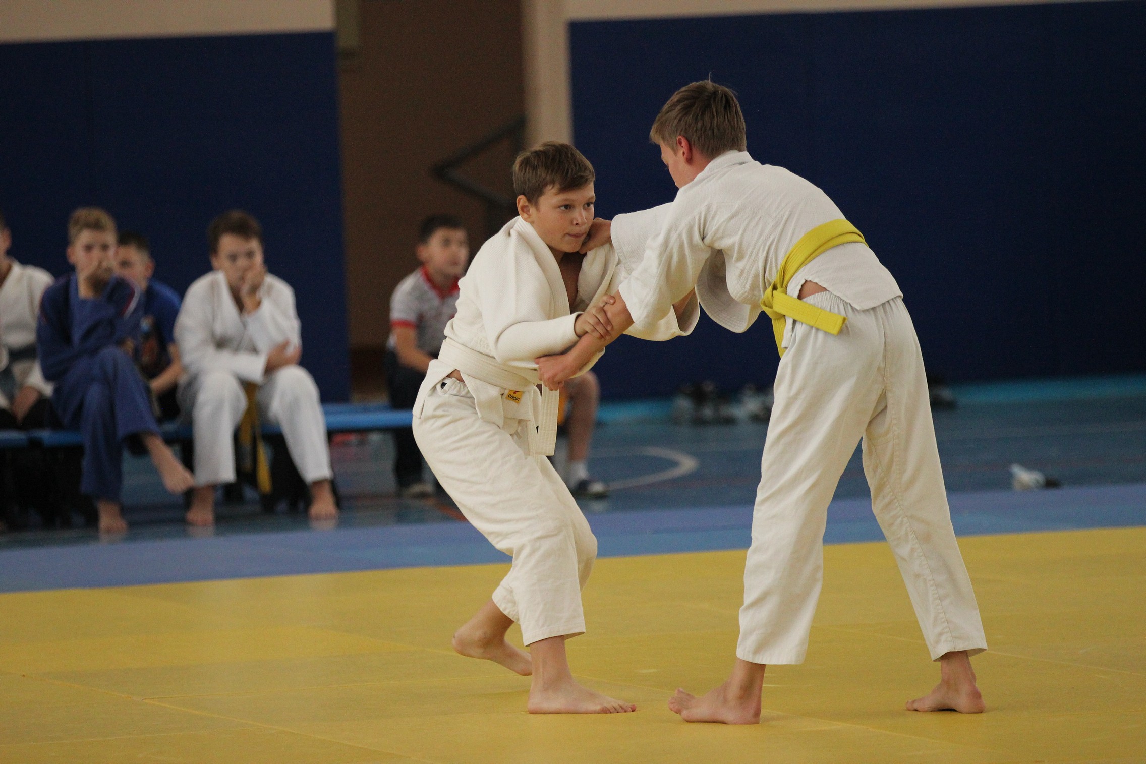 Кубок мэра по дзюдо