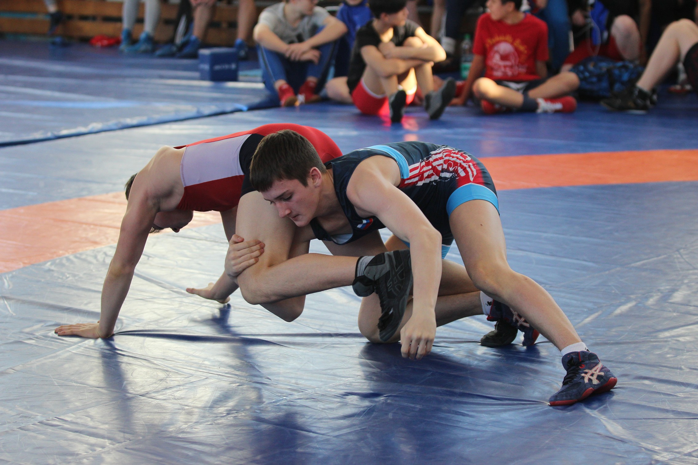 Первенство области по вольной борьбе