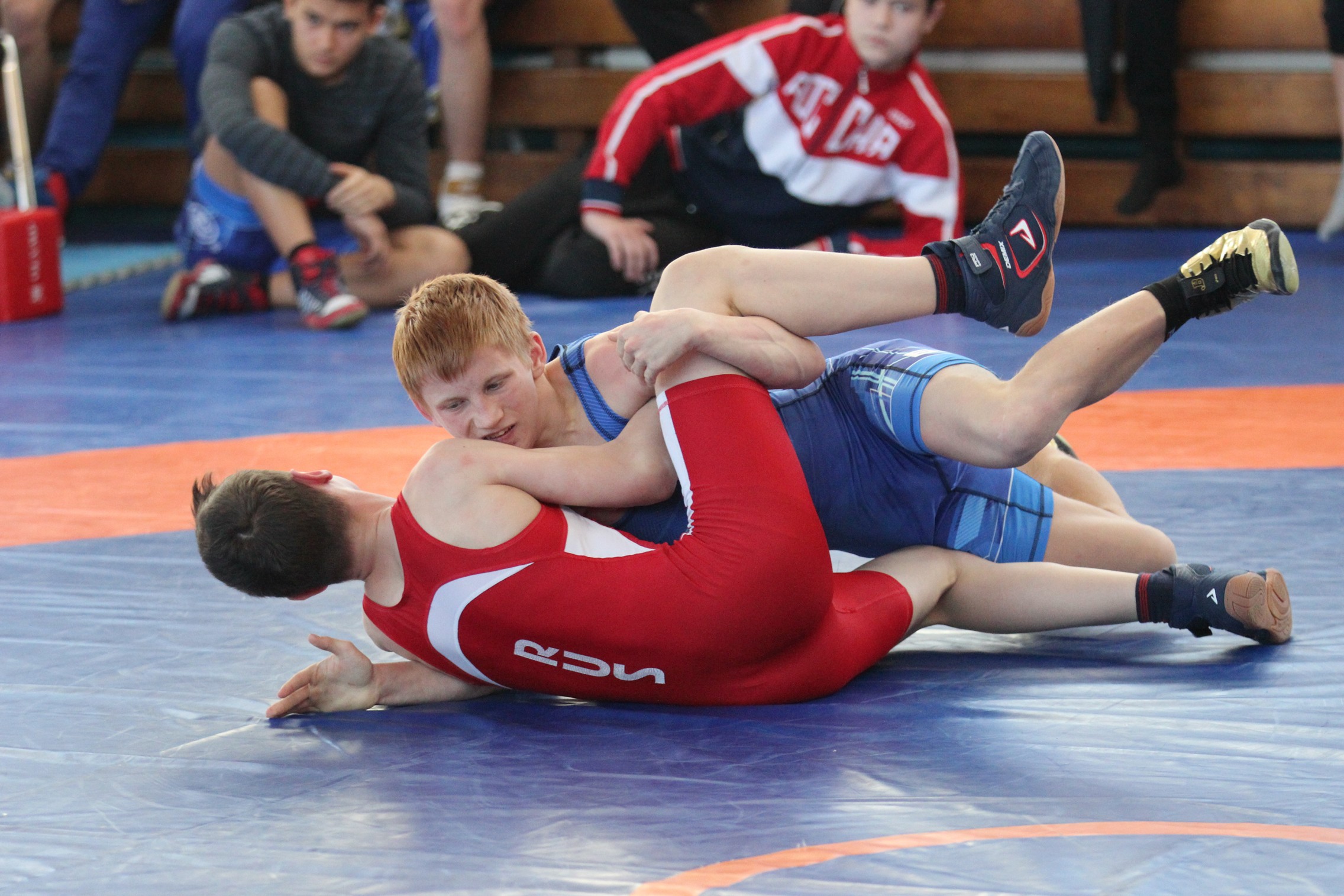 Первенство области по вольной борьбе