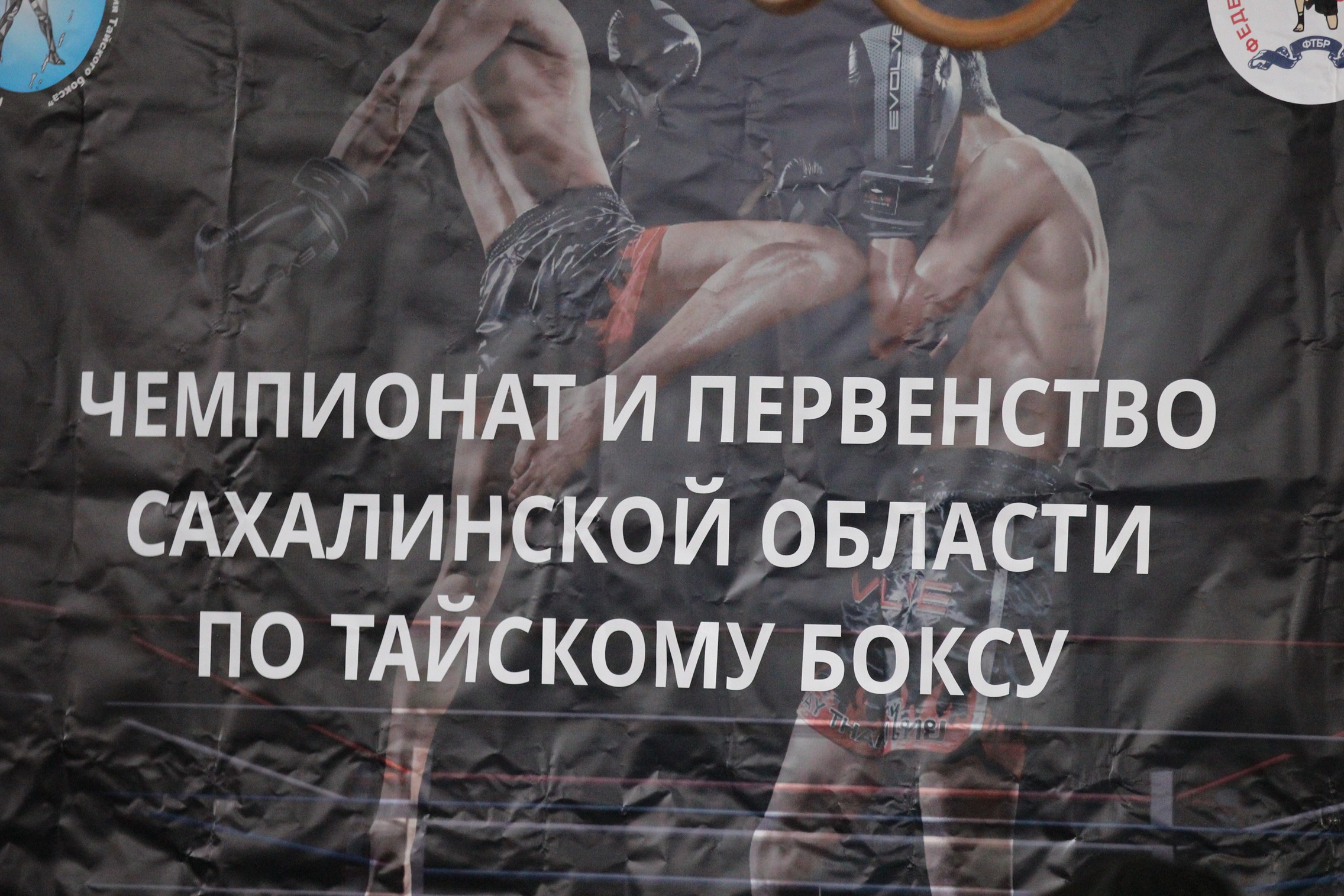 Чемпионат и первенство области по тайскому боксу