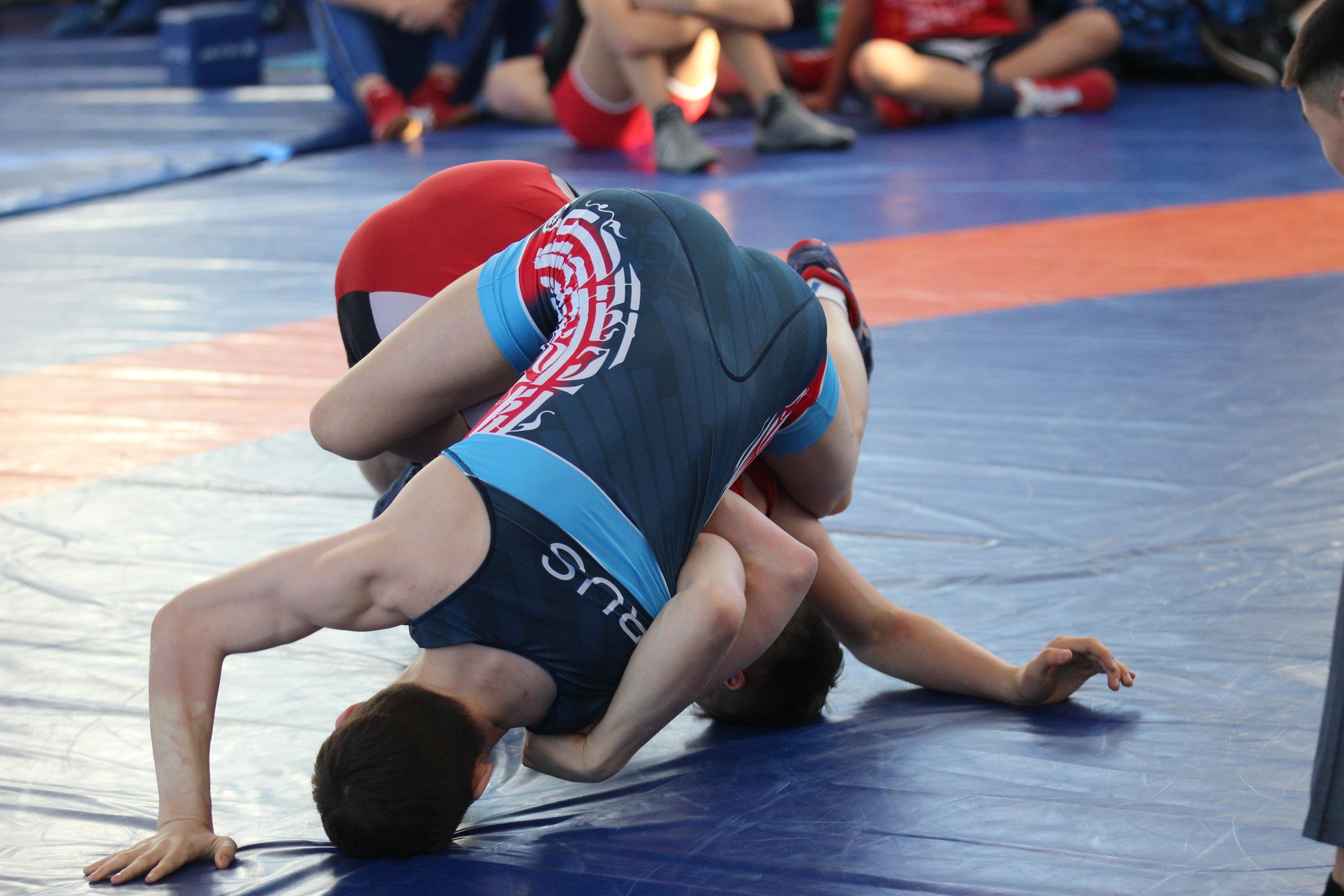 Первенство области по вольной борьбе