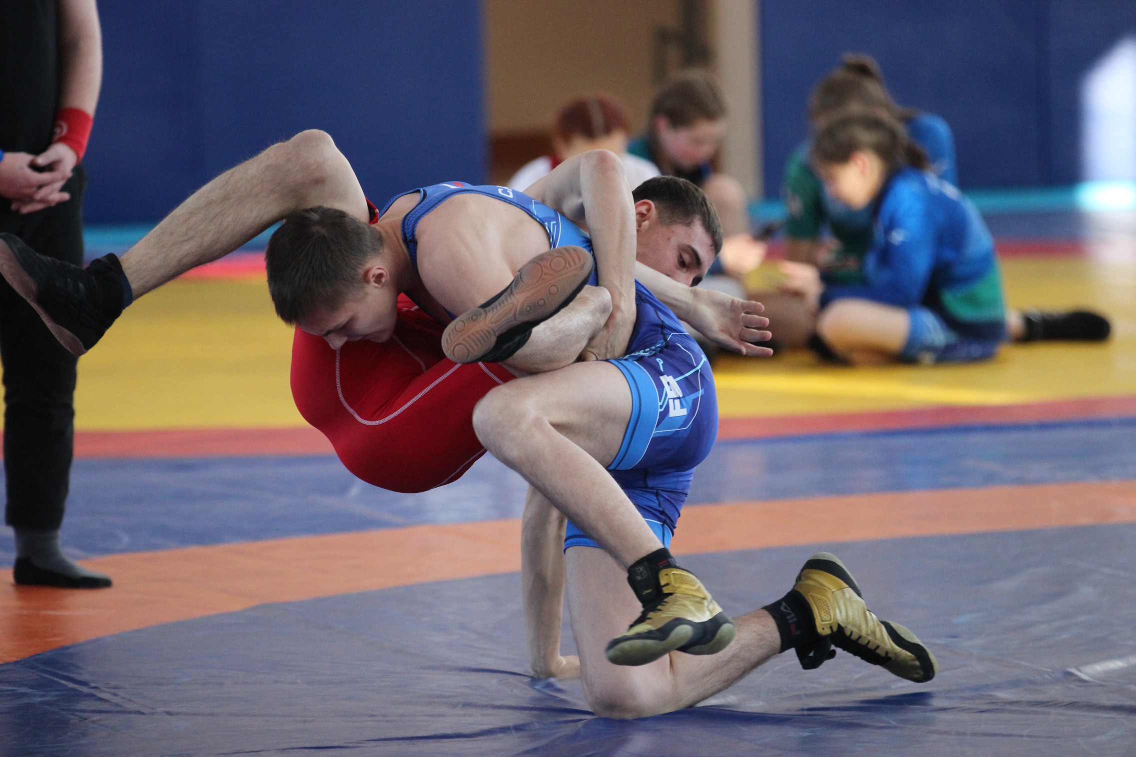 Первенство области по вольной борьбе