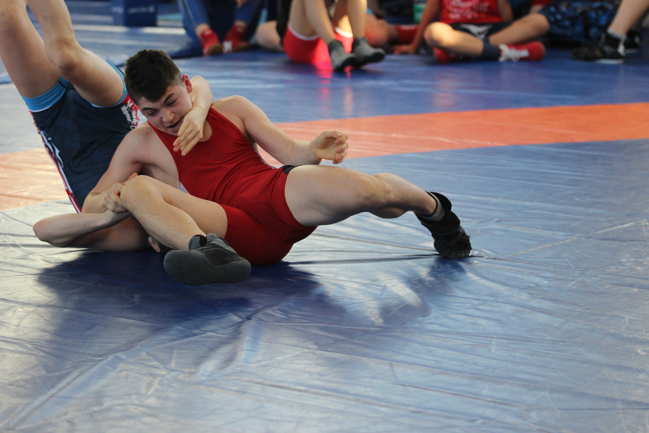 Первенство области по вольной борьбе