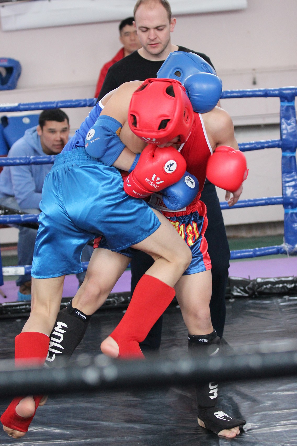 Чемпионат и первенство области по тайскому боксу