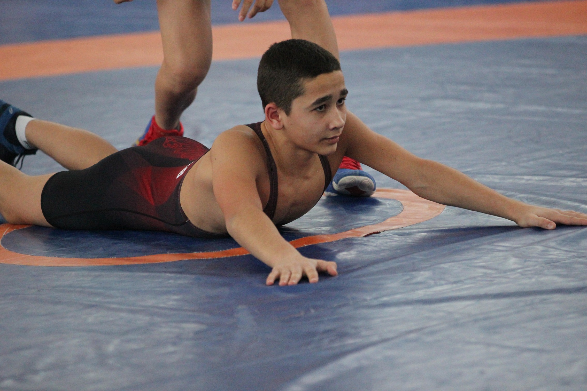 Первенство области по греко-римской борьбе среди юношей до 18 лет