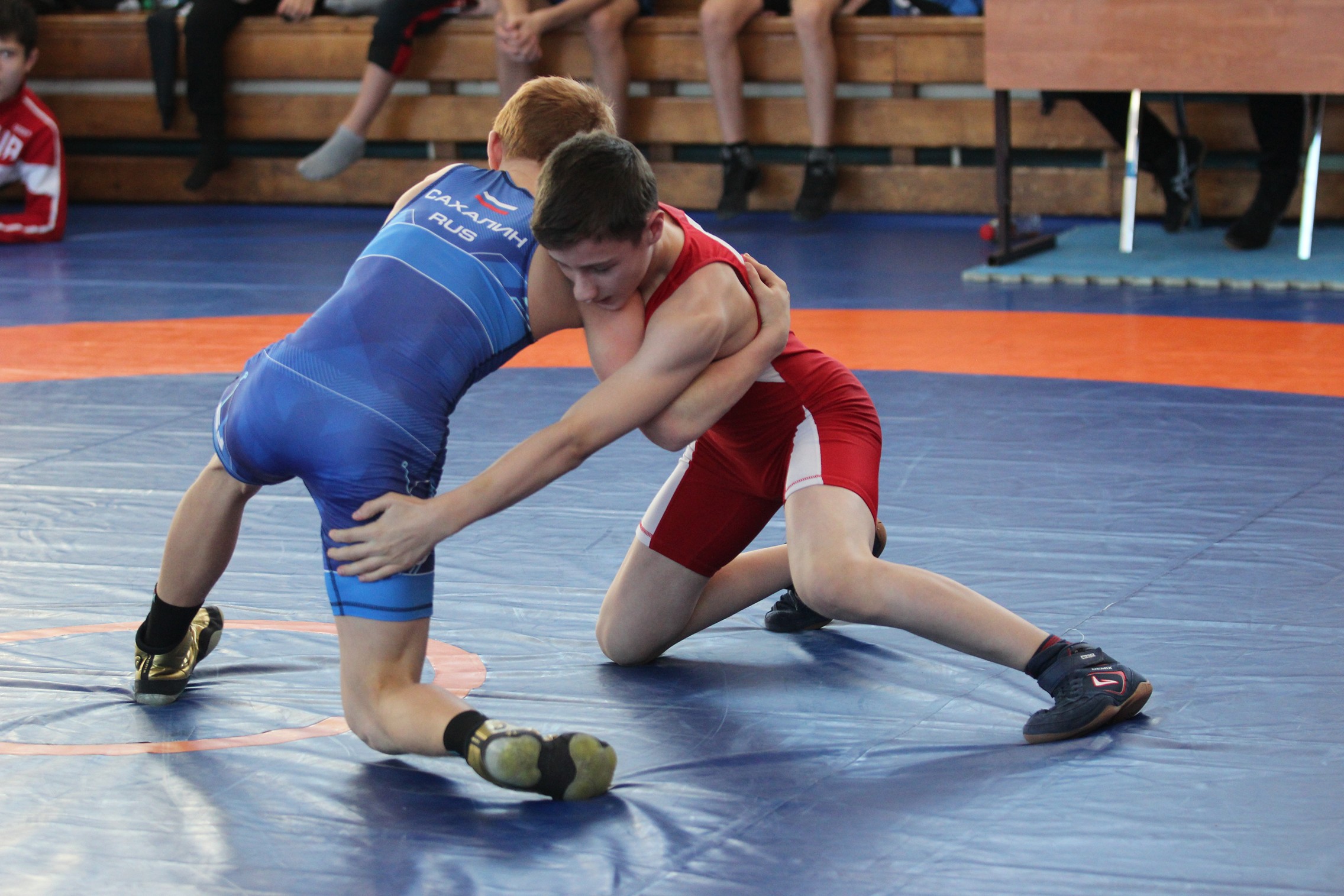 Первенство области по вольной борьбе