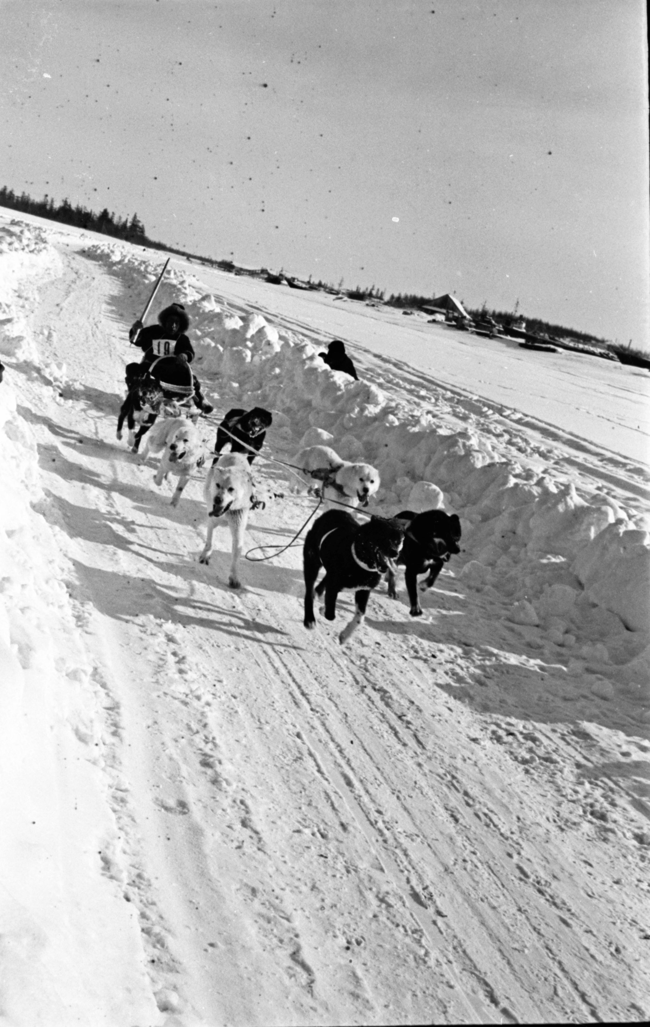 История соревнований КМНС