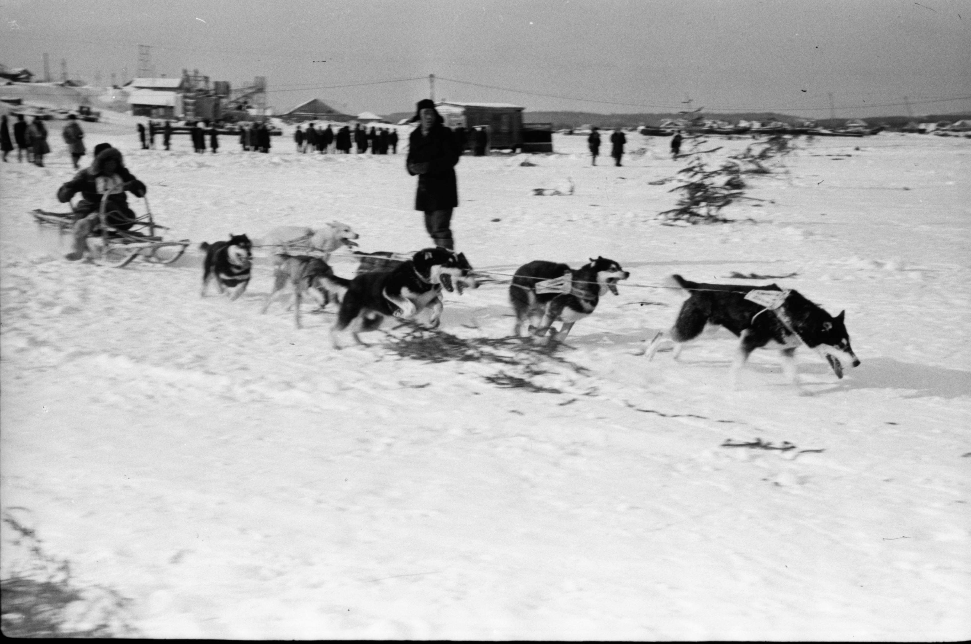 История соревнований КМНС