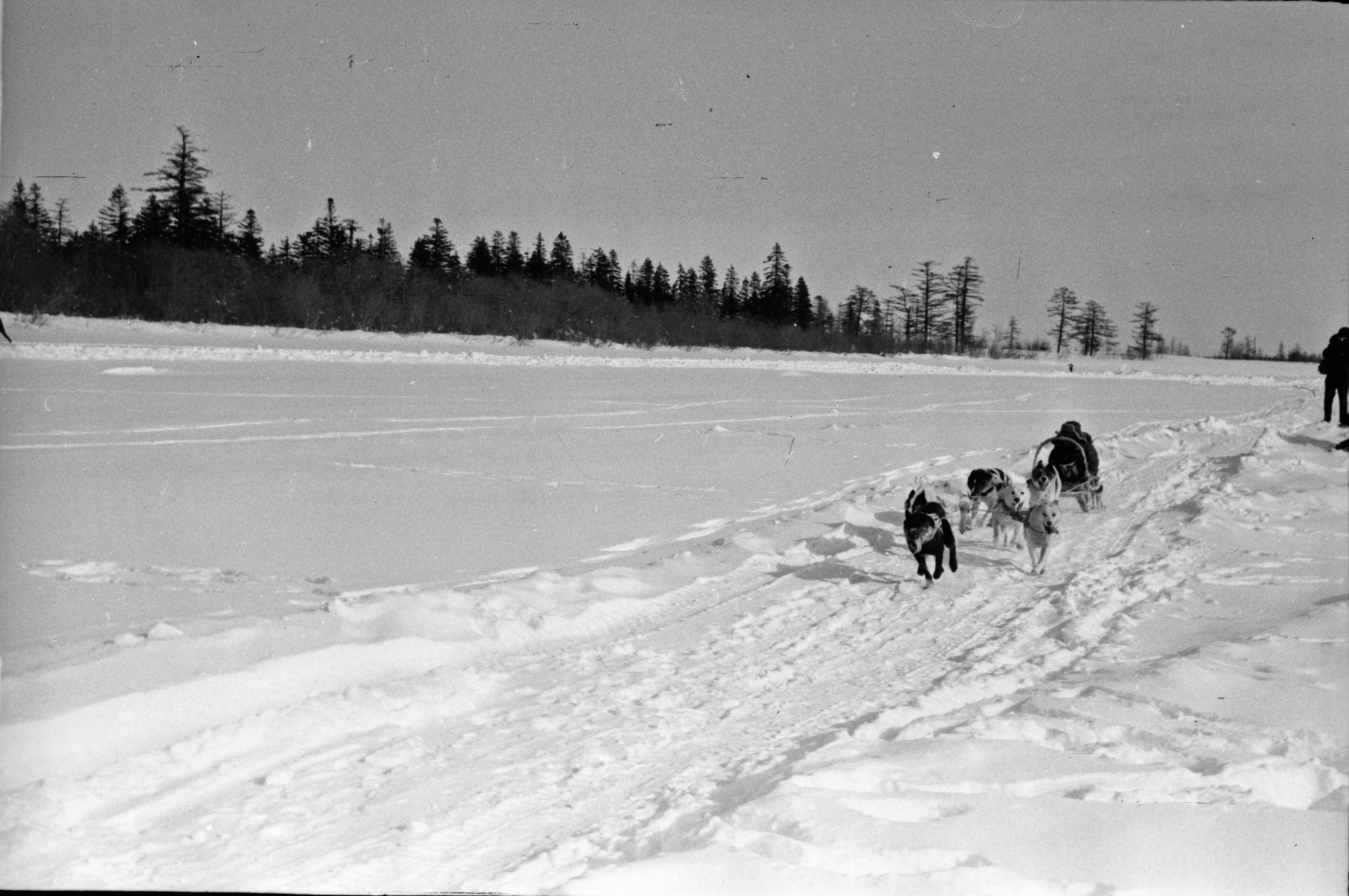 История соревнований КМНС
