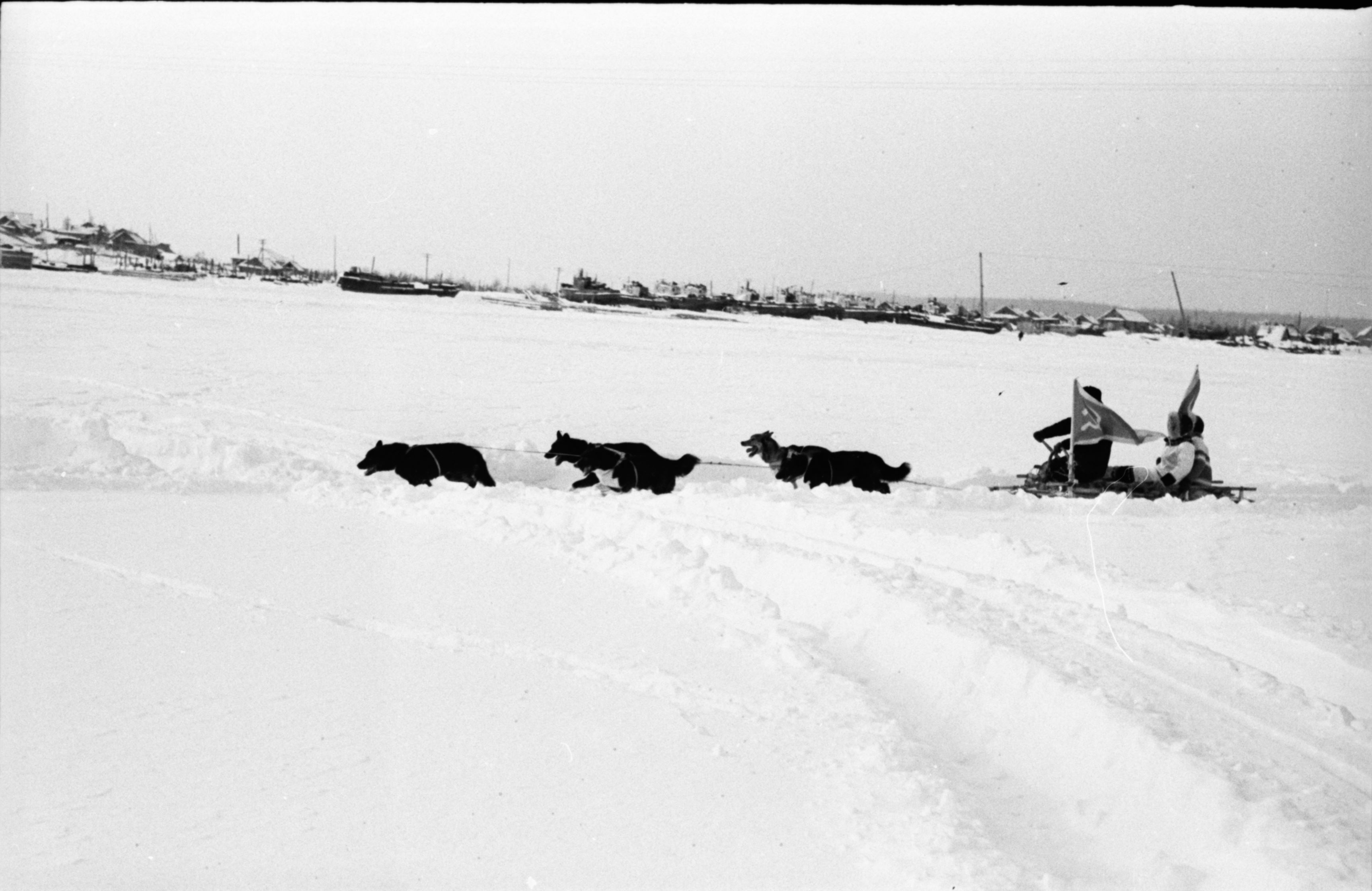 История соревнований КМНС