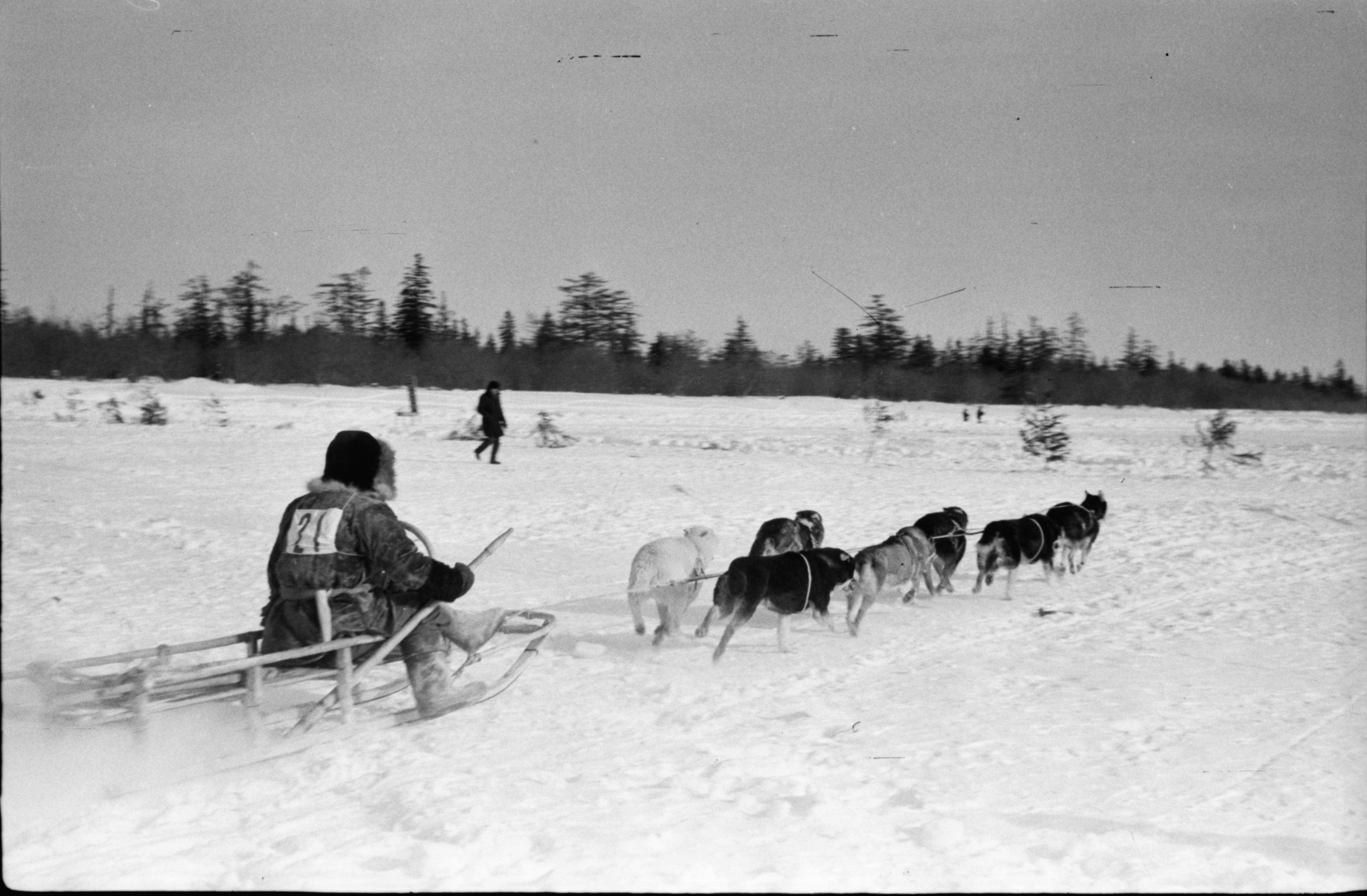 История соревнований КМНС