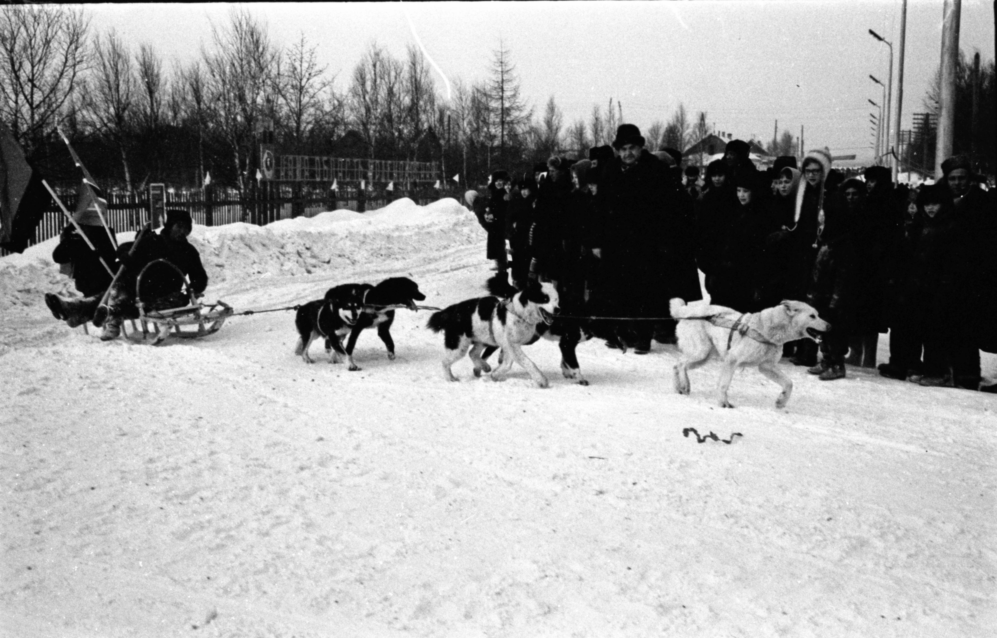 История соревнований КМНС