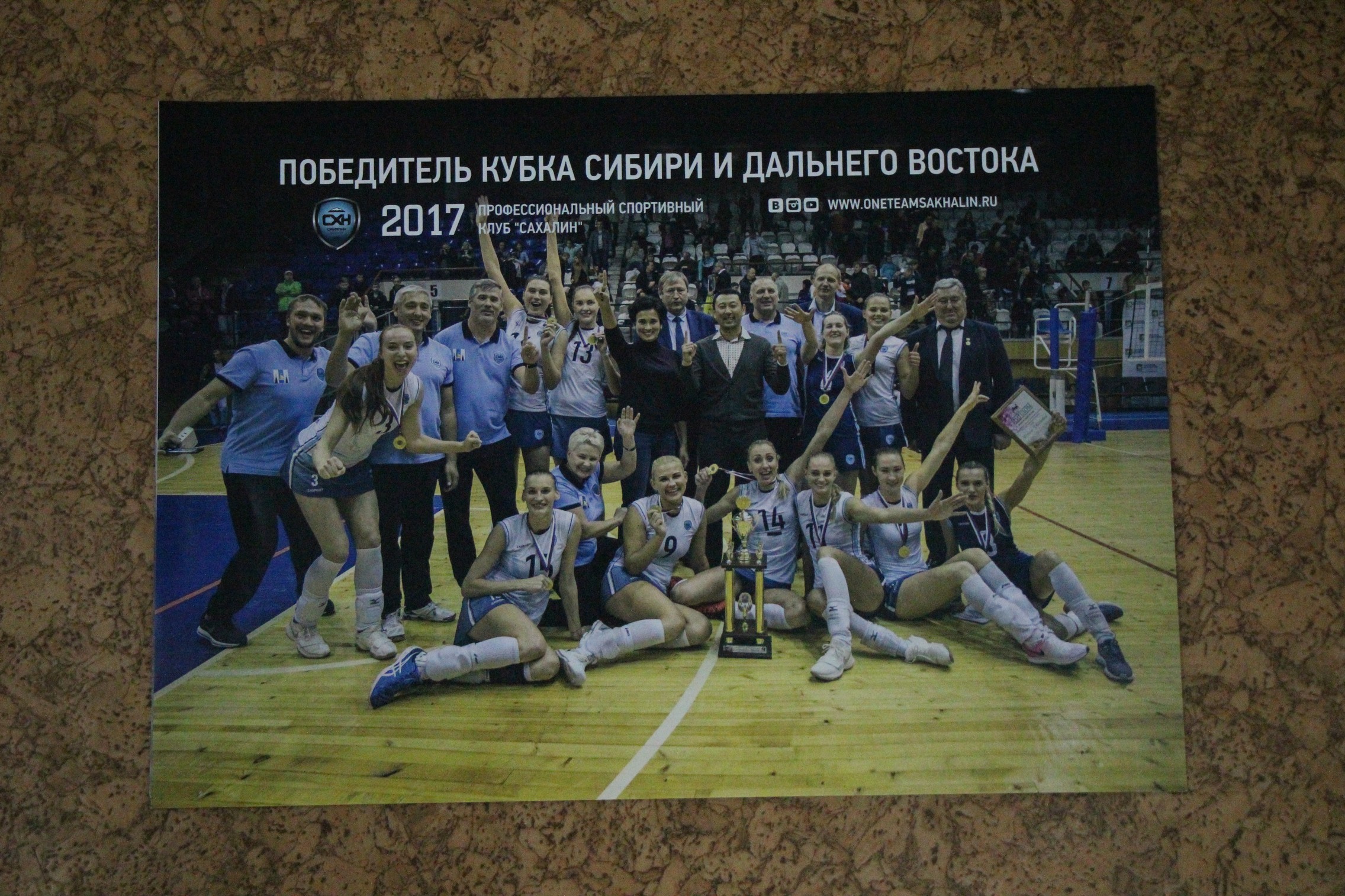 Волейбольные афиши
