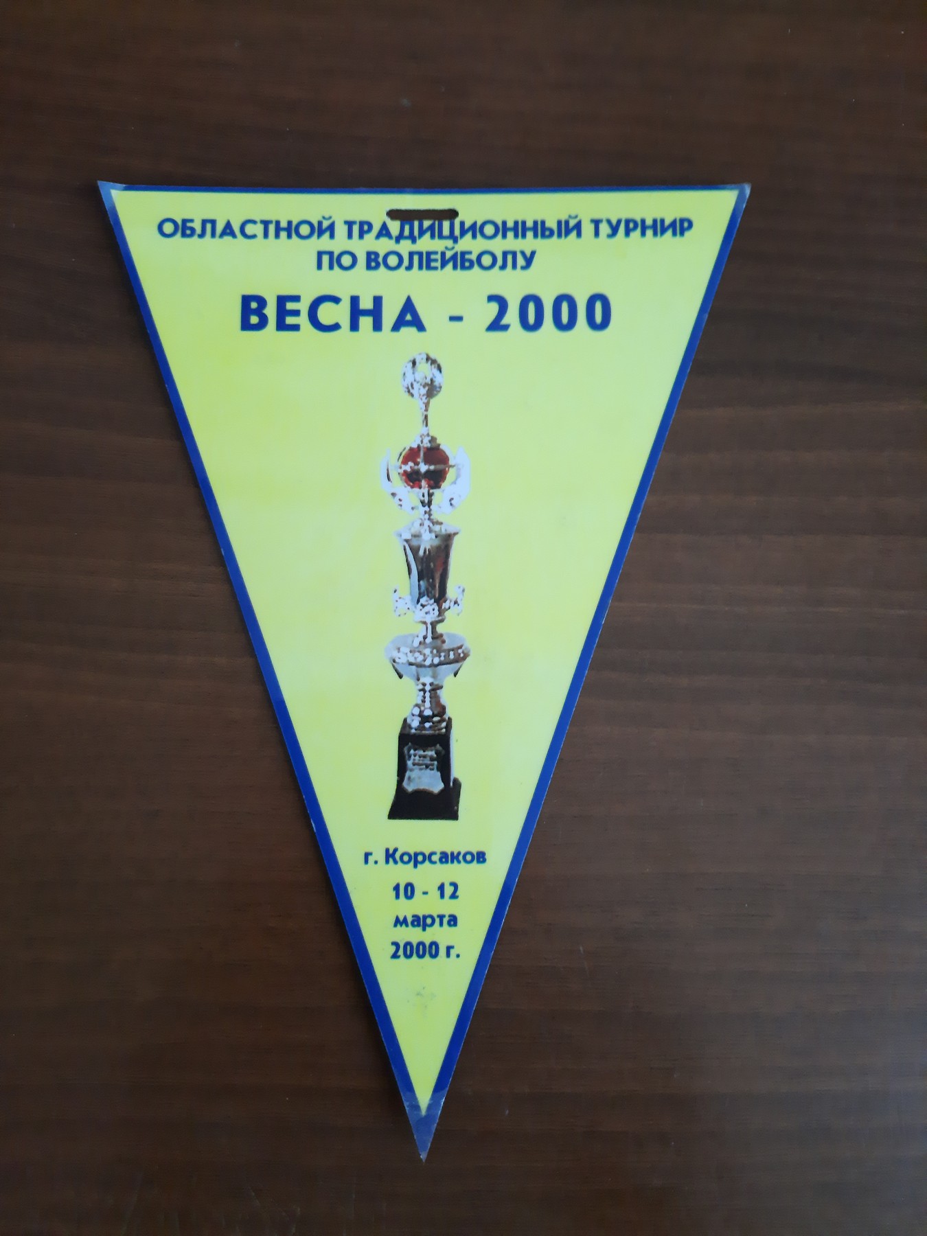 Волейбольные вымпелы