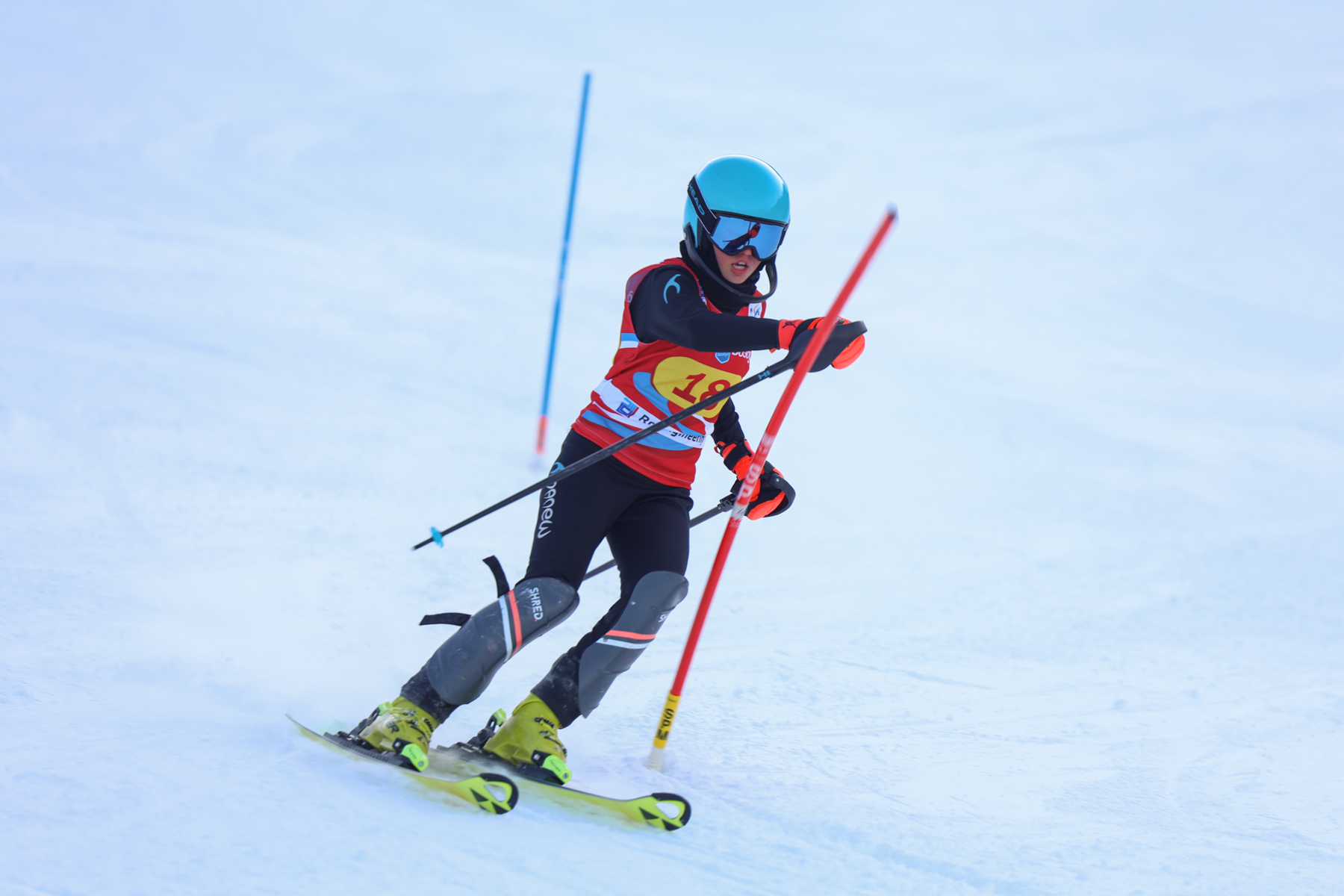 Чемпионат и первенство области по горным лыжам