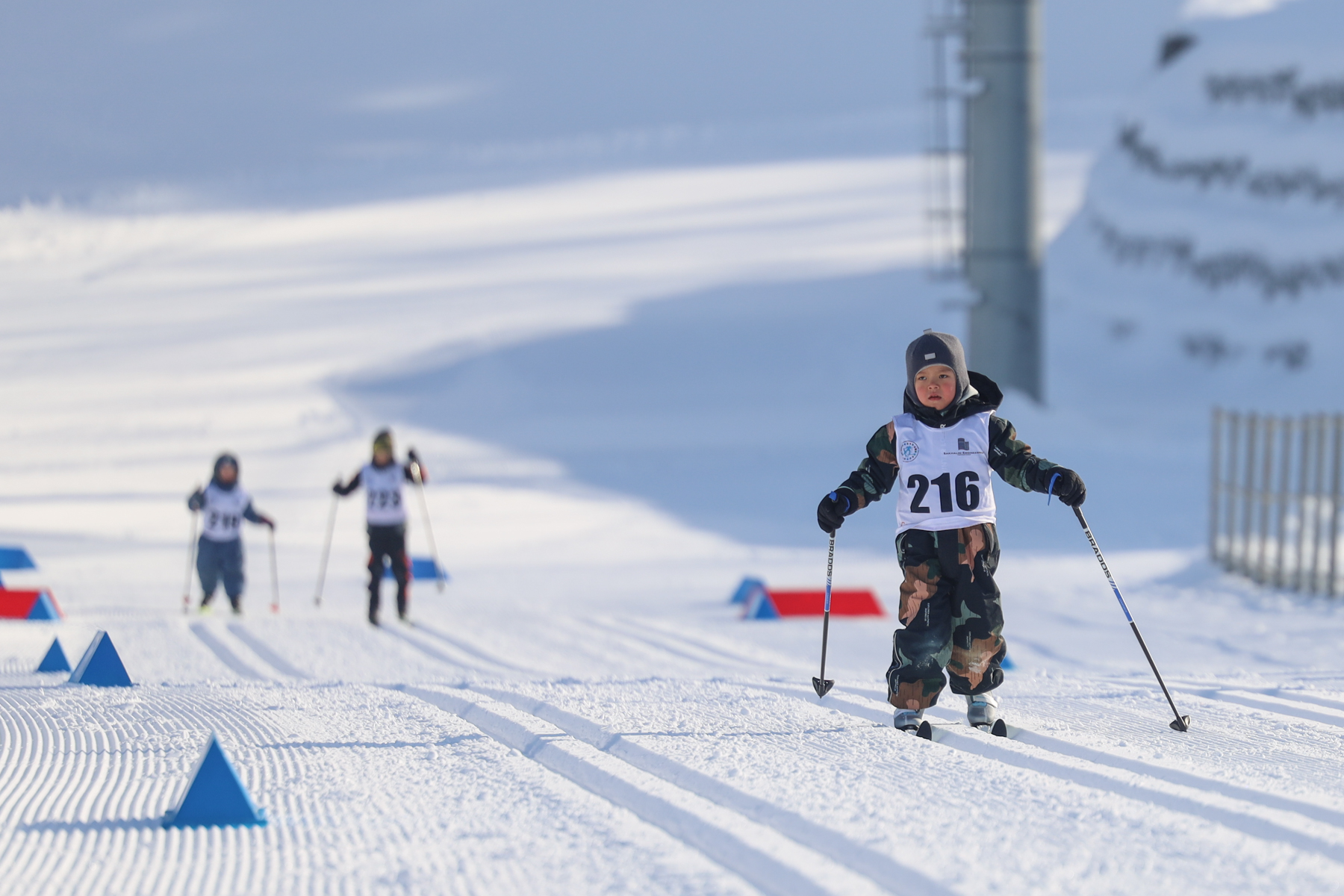 Соревнования памяти Б.Д. Егорова