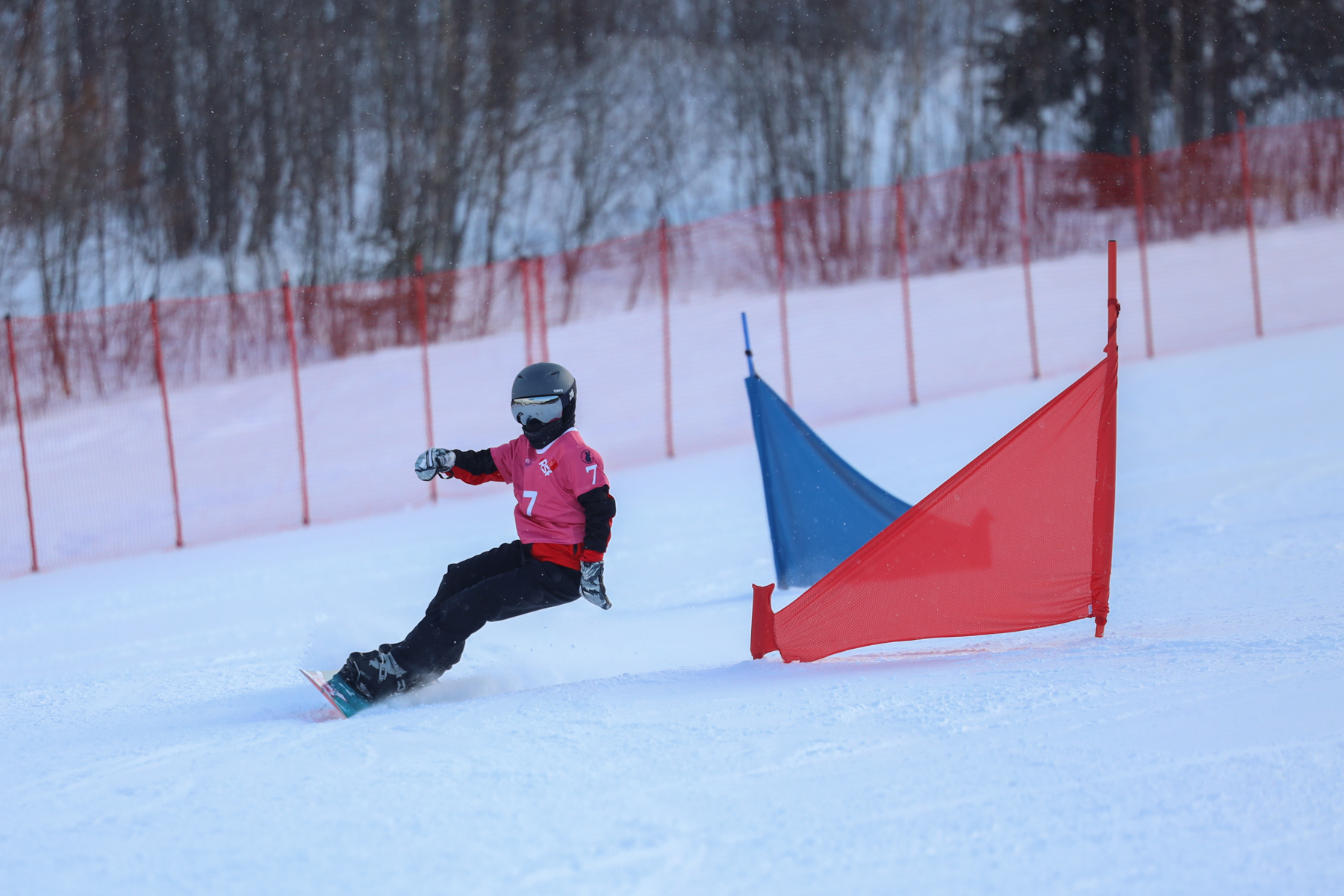 Первенство области по сноуборду